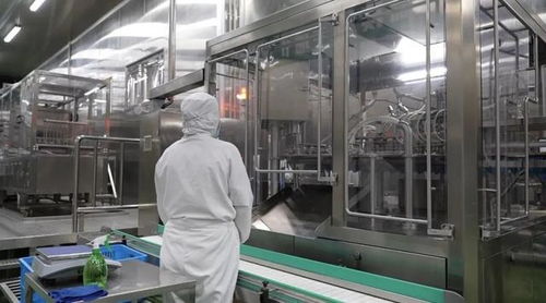 金山持續打響“灣區食谷”品牌，上海食品產業新高地加速崛起